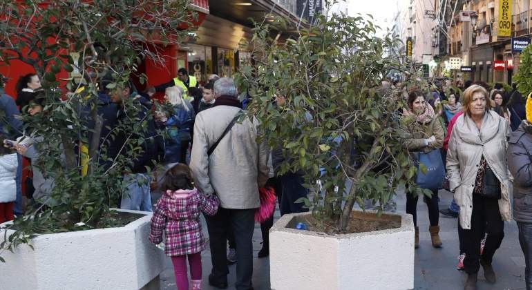 madrid-jardineras-preciados-efe.jpg