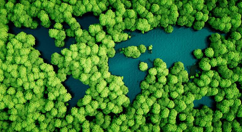 bonos-verdes-istock-770.jpg