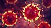 ¿Por qué un virus en China está poniendo tan nerviosos a los mercados de medio mundo?