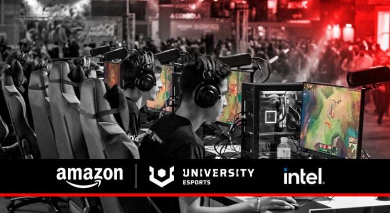 Primer_Split-1.jpg
