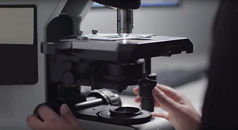 microscopio-google.jpg