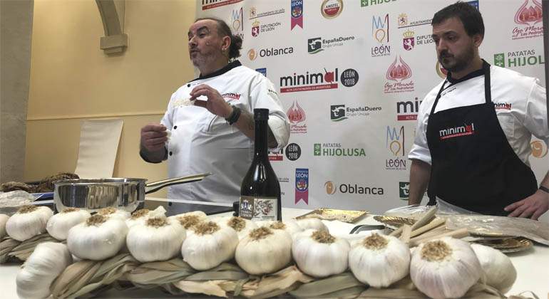 ajo-minimal-leon.jpg