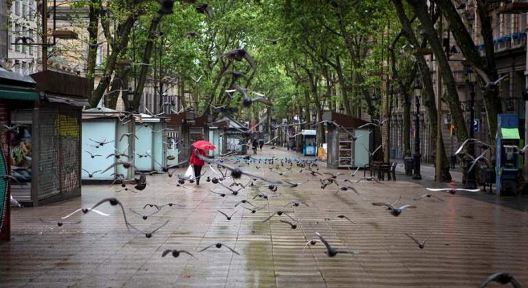 coronavirus-barcelona-pajaros-efe.jpg