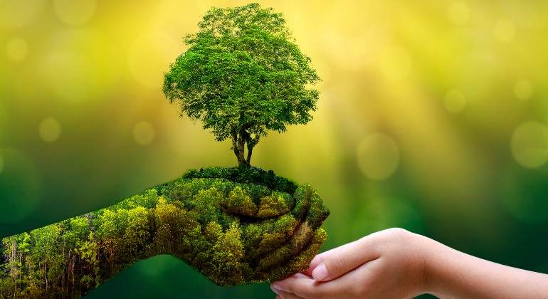 medio-ambiente.jpg