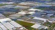 Cómo la pequeña Holanda se convirtió en una potencia agroalimentaria