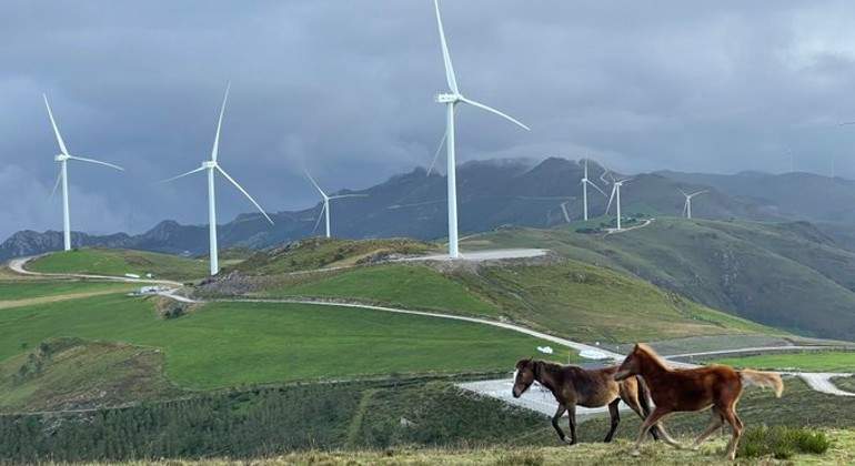 eolicos-iberdrola-caballlos.jpg