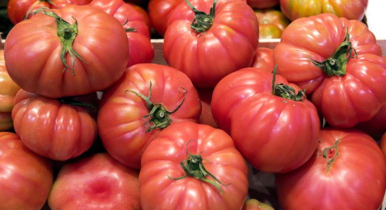 propiedades-tomate.jpg