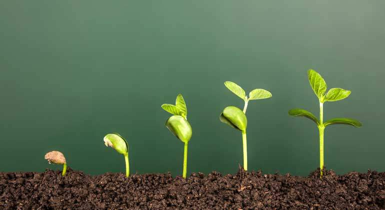 verde-crecer-770-istock.jpg