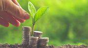 Cuál es el mejor día para hacer aportaciones al plan de pensiones