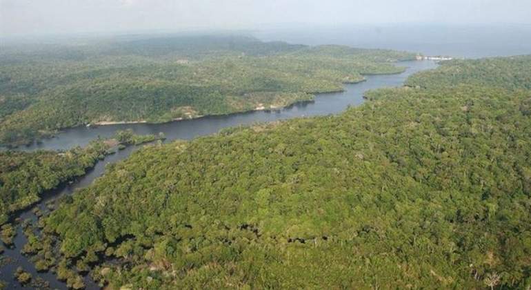 tramo-amazonas-770x420-efe.jpg
