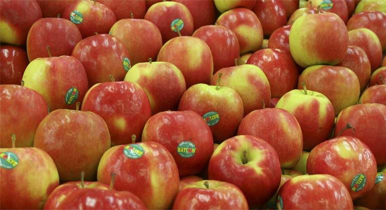 manzanas-archivo.jpg