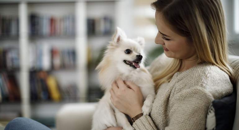 Un-perro-pequeno-mirando-a-su-duena-iStock.jpg