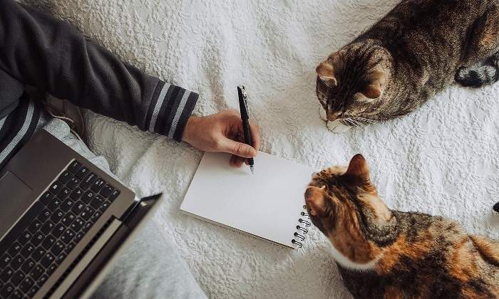 teletrabajo-gatos-istock.jpg