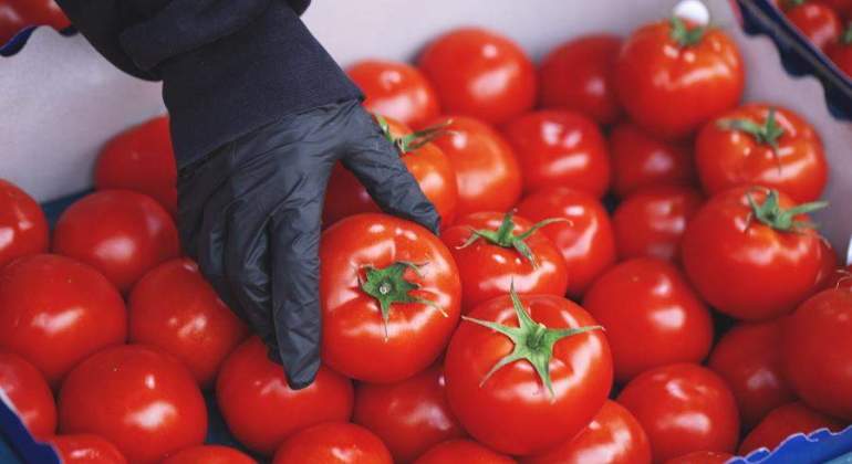 Tomates