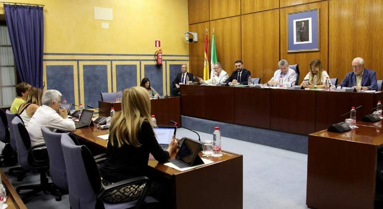comision-parlamento-andalucia-ep.jpg