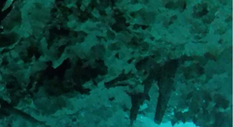Agua-cenote-770.jpg