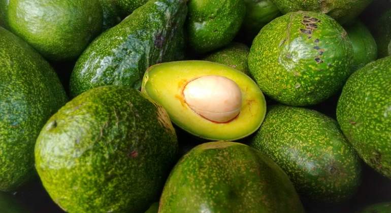 aguacates-dreamstime.jpg