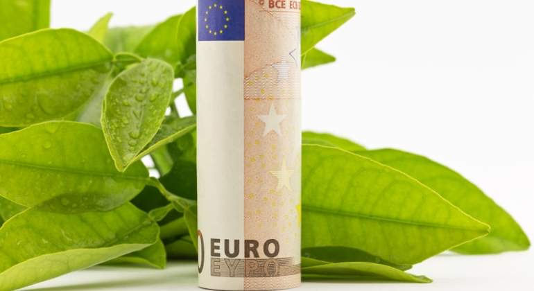 sostenible-euro-verde-dreams.jpg
