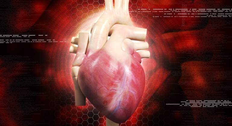 corazon-humano-dreamstime-2.jpg