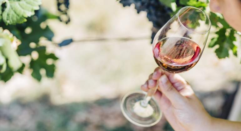 vinos-espanoles-dreamstime.jpg