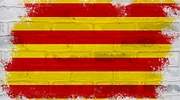 Catalán o castellano: ¿Cómo se relaciona el idioma con la polarización política en el debate independentista?