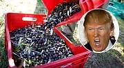 La alimentación, en guerra contra Trump: pide a la UE imponer aranceles a EEUU de 3.600 millones