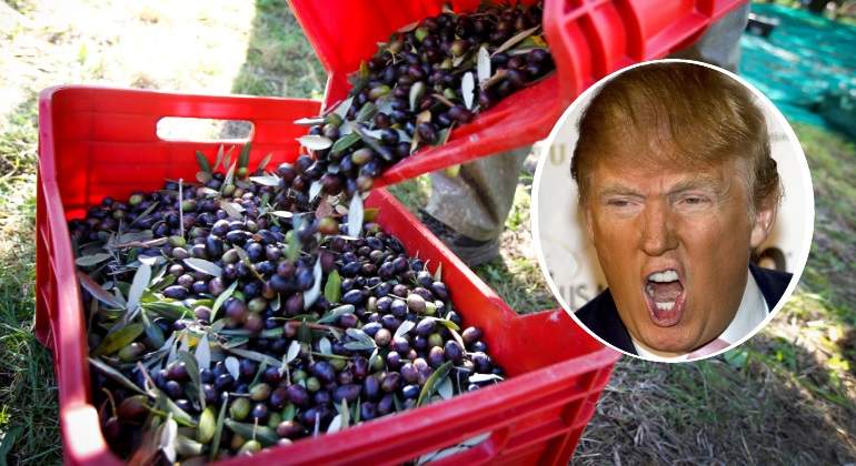 aceitunas-trump.jpg