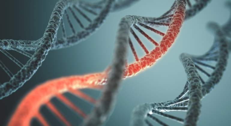 genes-adn-dreamstime.jpg