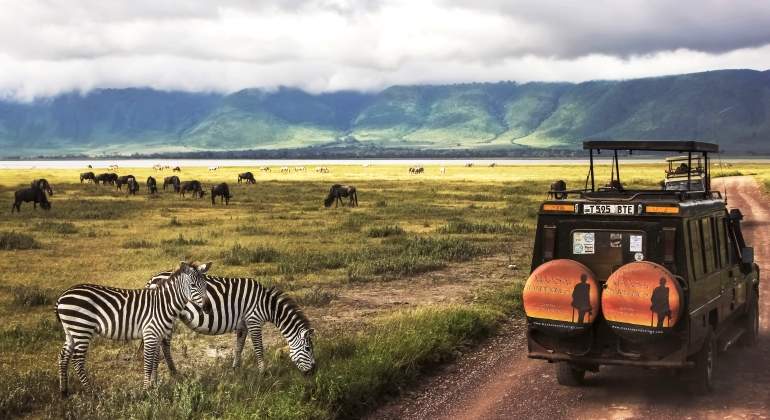tanzania-safari-dreamstime.jpg