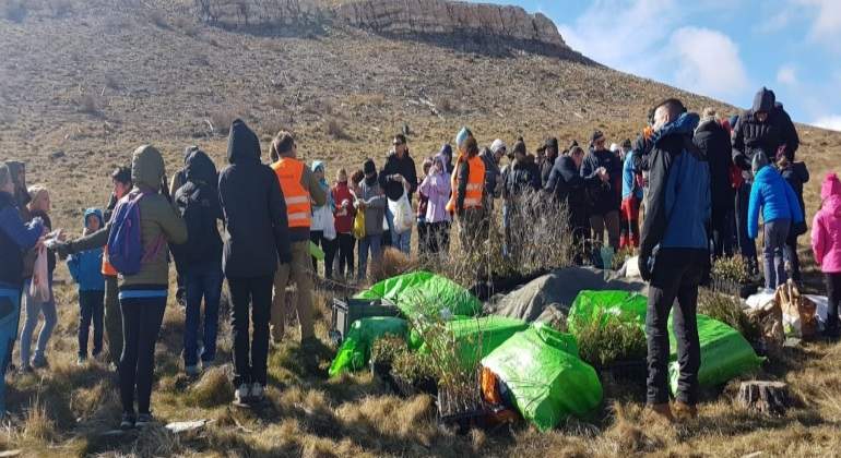 reforesta-bosque-teruel-caixabank.jpg