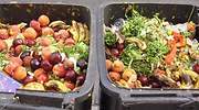 El despilfarro y la mercantilización alimentaria, las claves del hambre