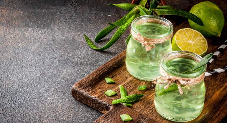 aloe-vera-bebible-dreamstime.jpg