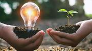 EDP es la eléctrica que más mejora su consejo y RWE la preferida del sector