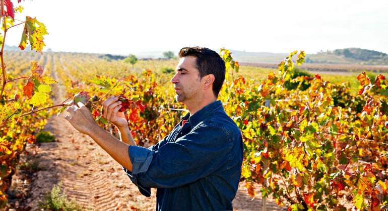 agricultor-campo-espana-vides-770-dreamstime.jpg