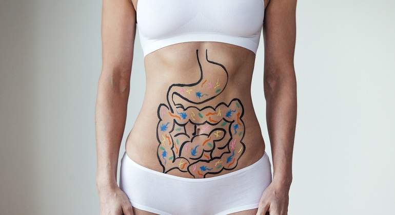 Una-persona-con-un-dibujo-del-intestino-sobre-su-barriga-iStock.jpg
