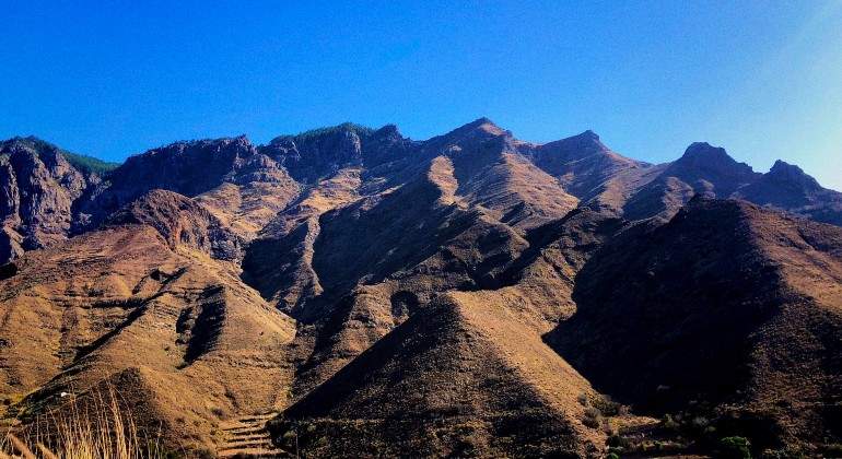 canarias-monte.jpg