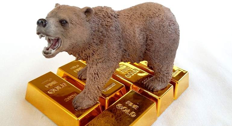 oso-lingotes-oro-dreams.jpg