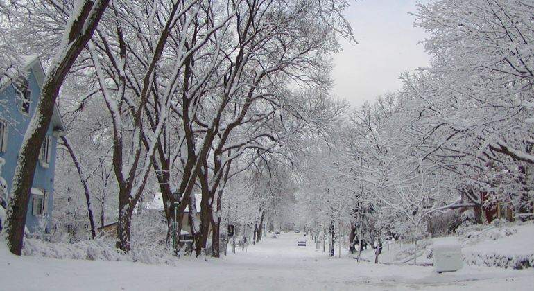destinos-frios770.jpg