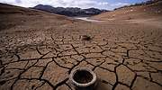 La ruina de la sequía para el campo: puede suponer pérdidas de entre 300 y 500 euros por hectárea