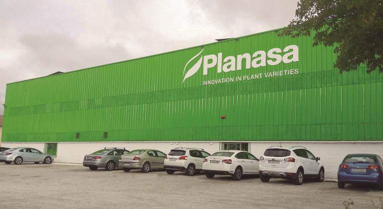 planasa-770.jpg