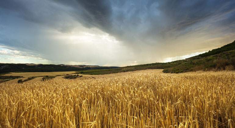 tormenta-istock-770.jpg