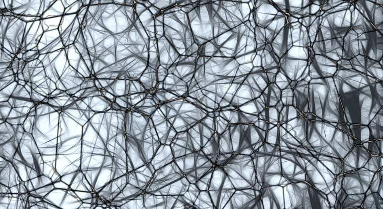 neuronas-cerebro-770x420-pixabay.jpg