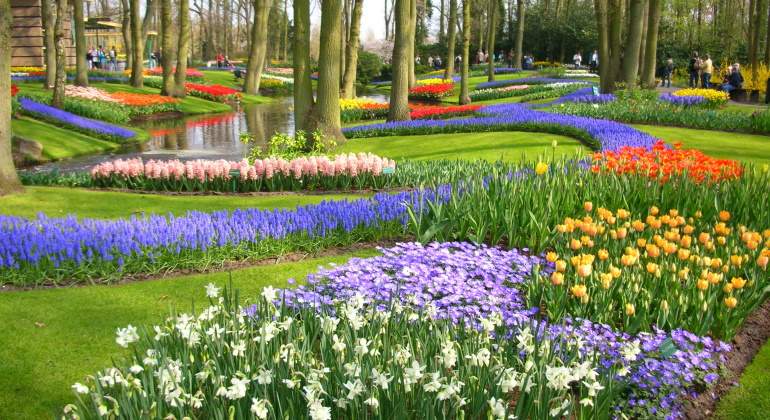 770x420-jardin-holanda-dreamstime.jpg