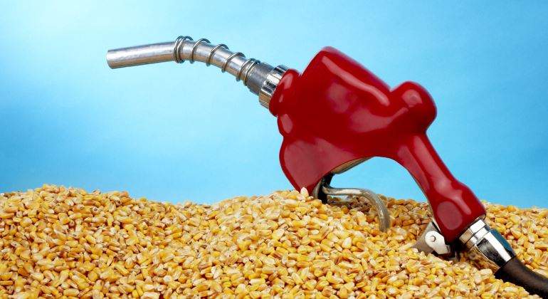 combustible-biodiesel-maiz-770-dreamstime.jpg