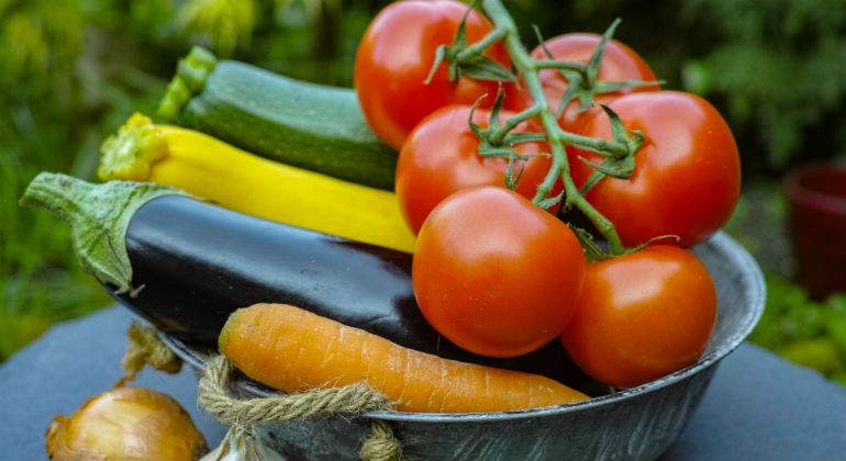 gastronomia-defini.jpg