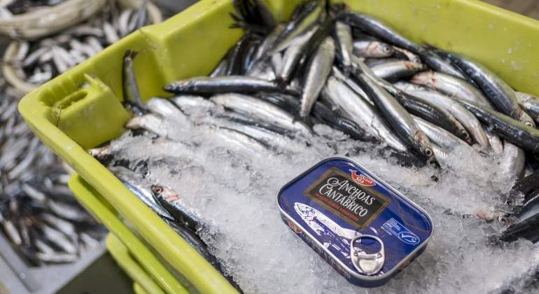 lidl-anchoas.jpg