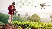 Agricultura inteligente: alimentos sostenibles a golpe de click