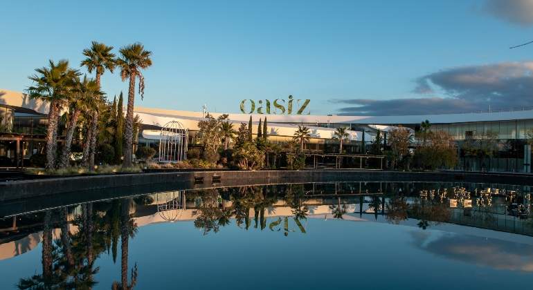 Oasiz.jpg