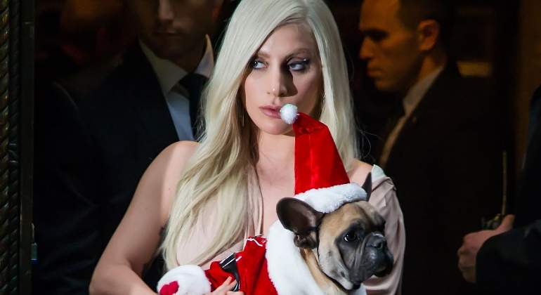 lady-gaga-perros-770.jpg