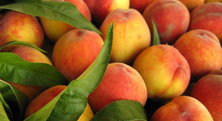 frutas-hueso